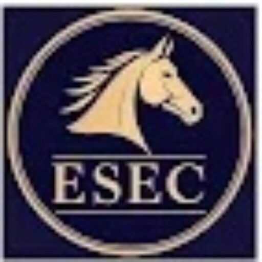Esec Toulouse
